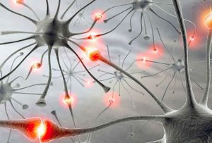 Her beyin hücresinde 1000 sinaps bağlantısı var