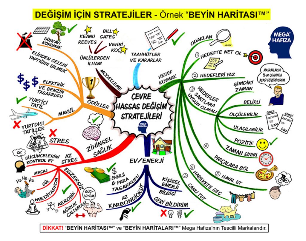 Beyin Haritaları - Örnekler