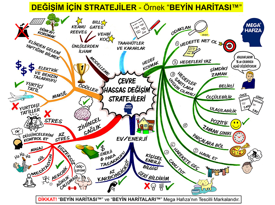 Örnek Beyin Haritası