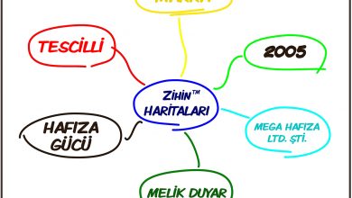 Zihin Haritası - Mega Hafıza Ltd. Şti.