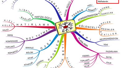 Zihin Haritası ve Zihin Haritaları