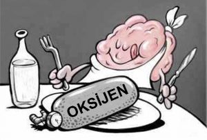Beyin Oksijen'in % 25'ini Kullanıyor
