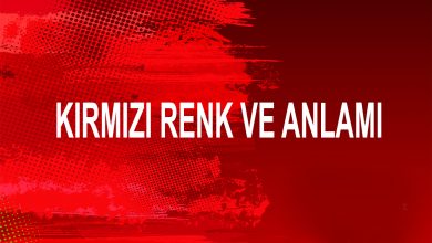 Renklerin Dili - Kırmızı Renk ve Anlamı