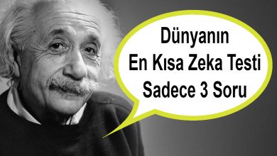 DÜNYANIN EN KISA ZEKA TESTİ – SADECE 3 SORU