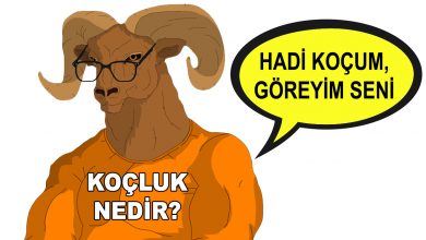 Kişisel Gelisişim - Koçluk Nedir?