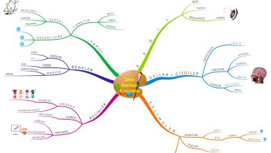 Zihin Haritası Kanunları - Zihin Haritası Nedir