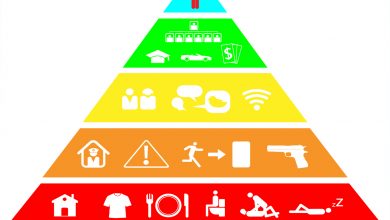 Maslow ihtiyaçlar hiyerarşisi