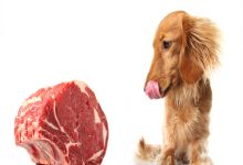 Öz Disiplin Nedir? Öz Disipline Giden 10 Yol