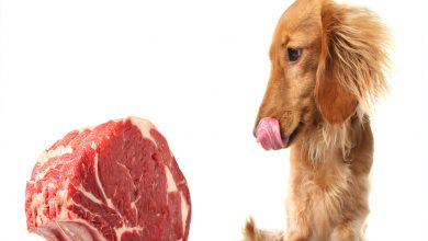 Öz Disiplin Nedir? Öz Disipline Giden 10 Yol