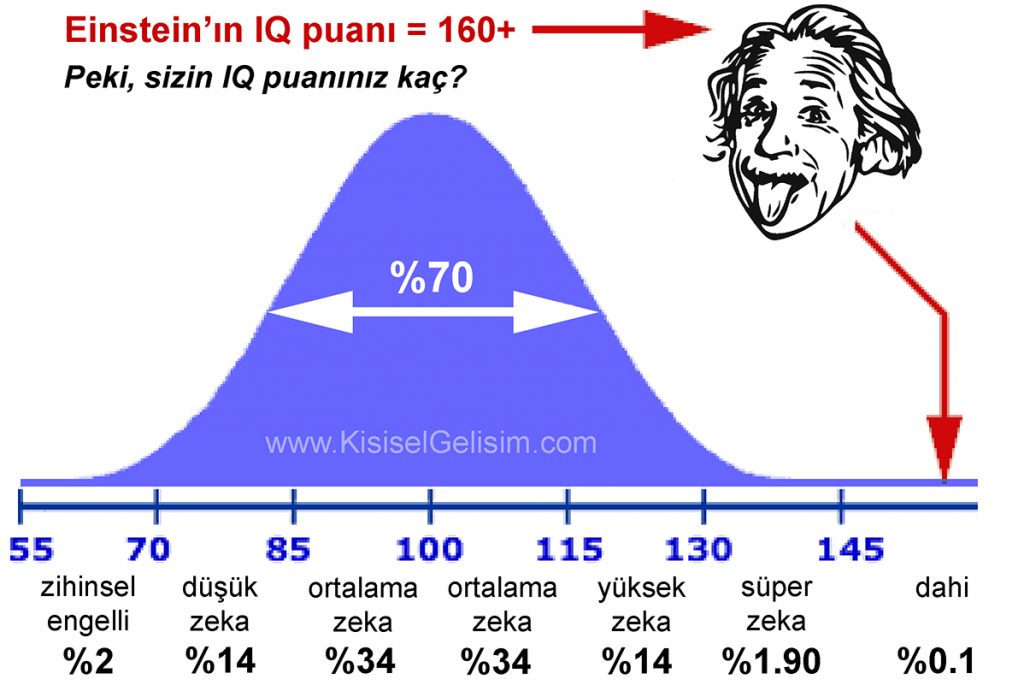 Einstein'ın IQ puamı / Einstein'ın zeka puanı