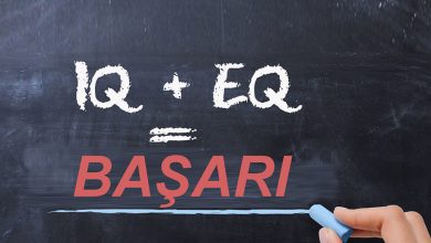 Duygusal Zeka Nedir? EQ Nedir?