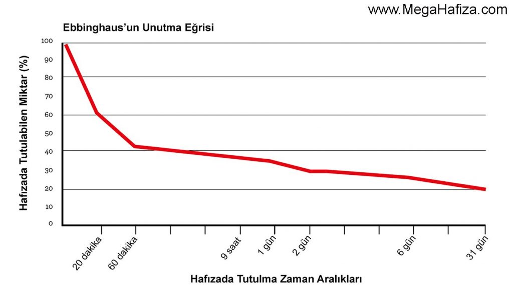 Sistematik Tekrar - Ebbinghaus Unutma Eğrisi