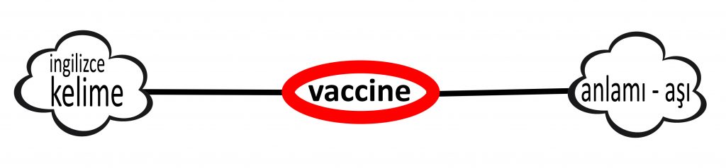 vaccine -ingilizce kelime