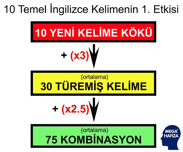 Mega İngilizce- İngilizce'de 10 Temel Kelime İle Konuşmak