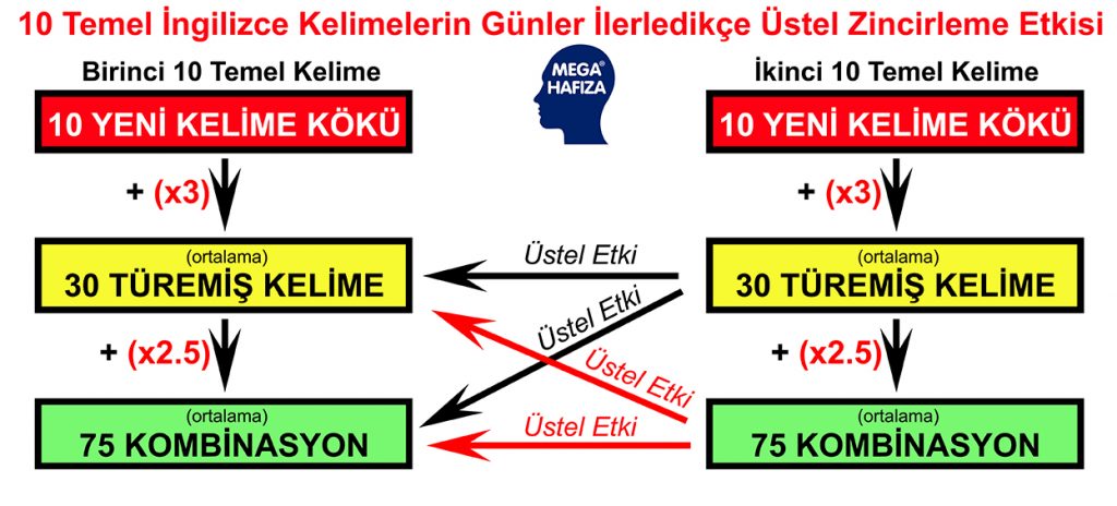 ingilizcede ilk 10 temel kelimeyle konuşmaya başlamak