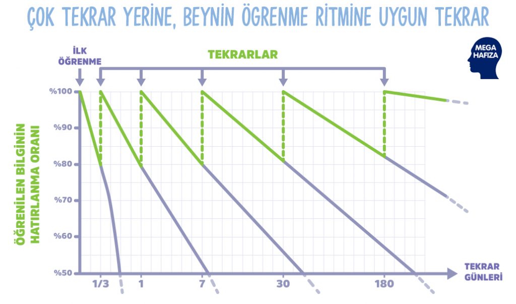 Ebbinghaus Unutma Eğrisi - Mega İngilizce / Mega Hafıza