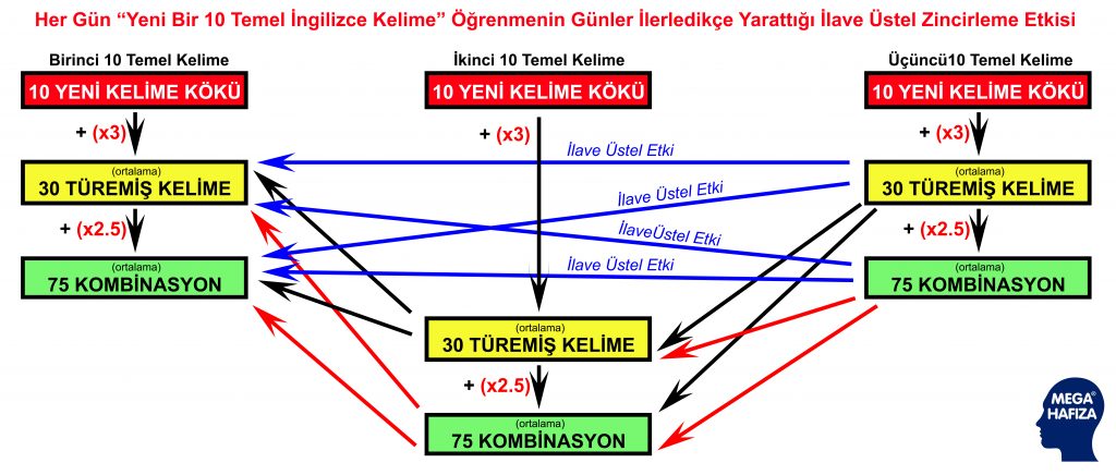 ingilizce konuşmak için temel kelimeler - mega ingilizce