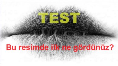 Resimde ilk ne gördünüz - resimde ilk ne gördünüz?