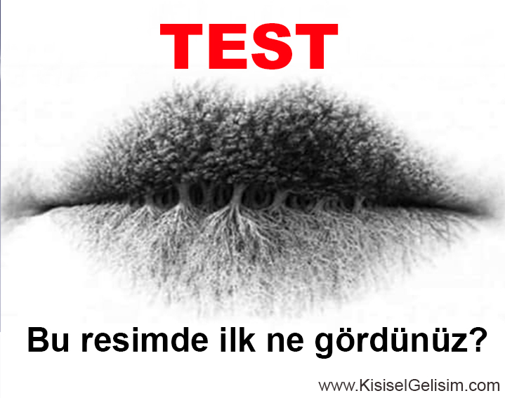 Kişilik Özellikleri Testi: Resimde ilk gördüğünüz şey nedir?
