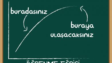 öğrenme eğrisi nedir