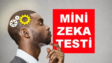 zeka testi - mini zeka testi