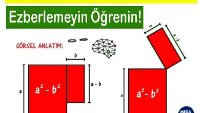 görsel zeka - matematik ve görsel öğrenme