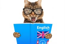 İngilizce Nasıl Hızlı Öğrenilir