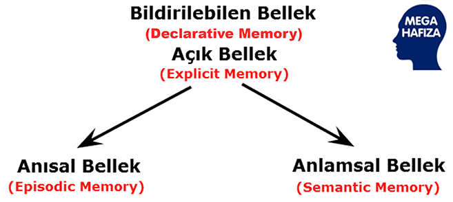 deklaratif bellek - declarative memory - bildirilebilen bellek -explicit memory - açık bellek