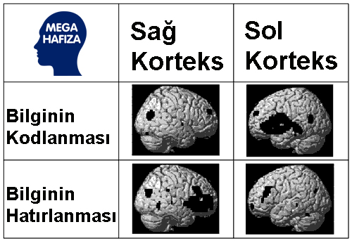 hafızaya yerleştirme ve hatırlama / geri çağırma