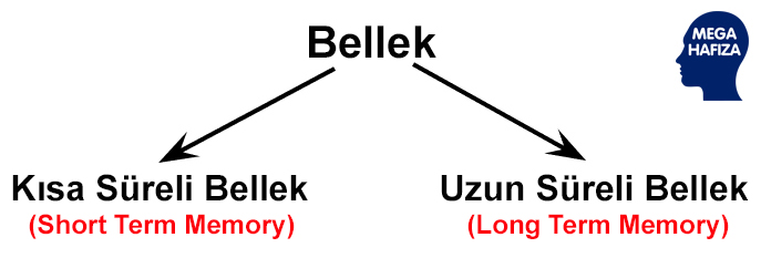 kısa süreli bellek nedir - uzun süreli bellek - short term / long term memory