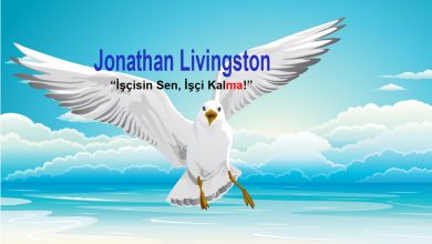 richard bach - kitap - martı jonathan livingston