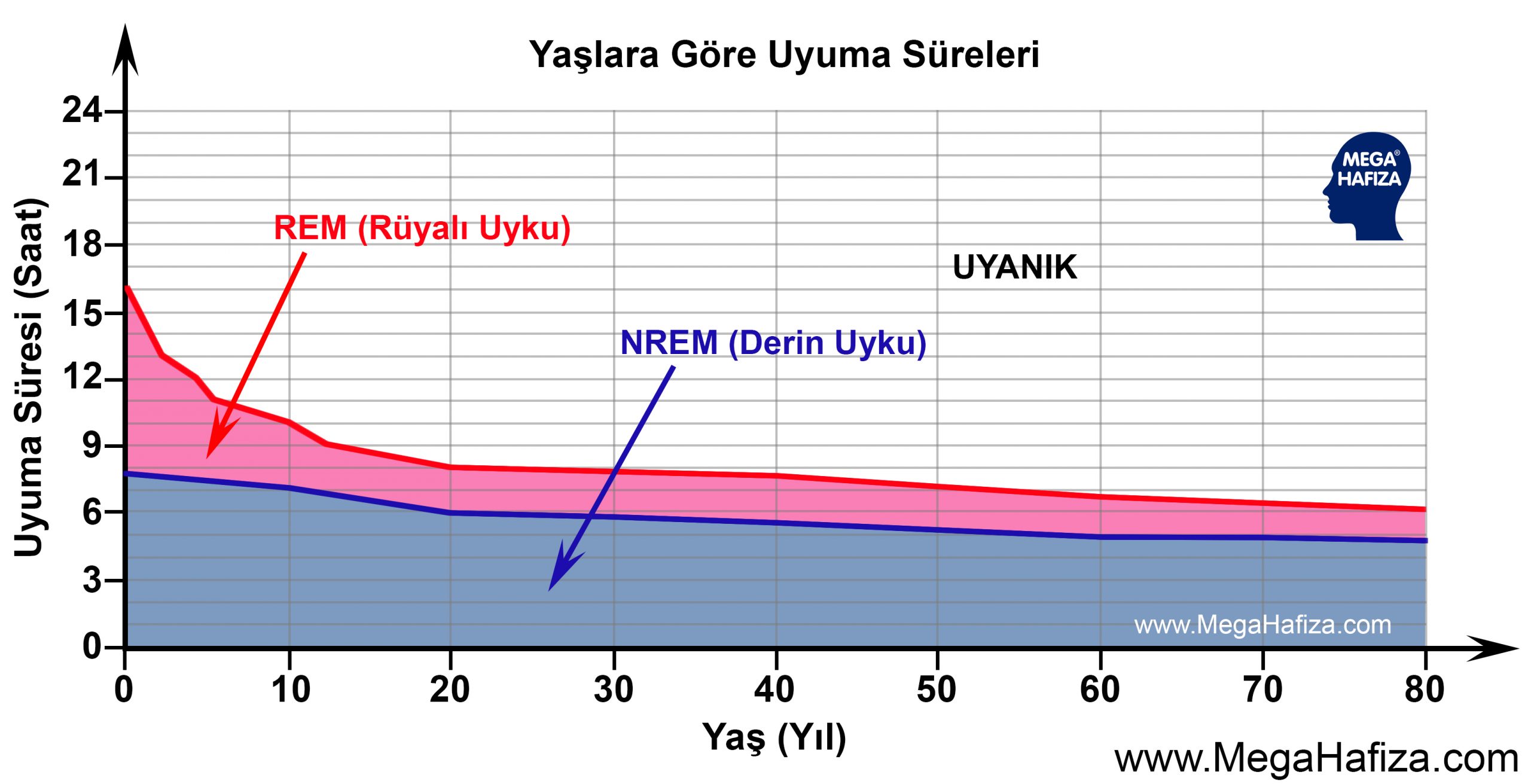 yaşlara göre uyku saatleri