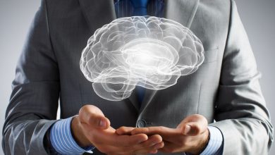 Beynimizi Tanıyalım - Premotor Korteks Alan Nedir - Premotor Cortex