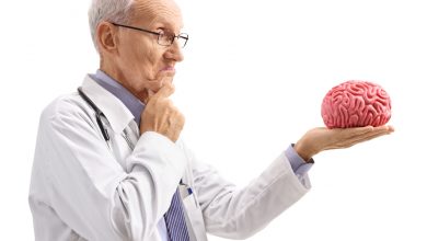 cerebral cortex nedir - serebral korteks nedir -