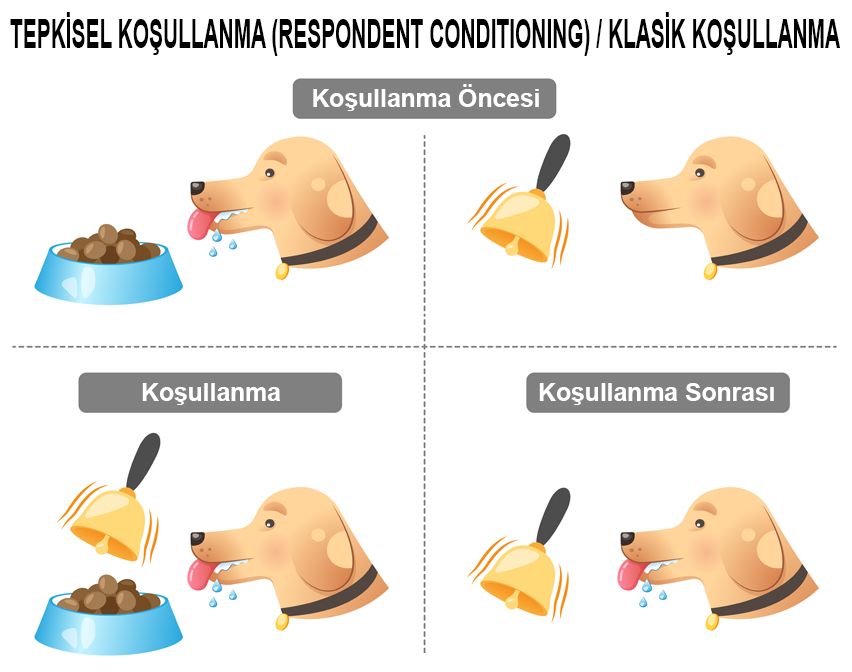 tepkisel şartlanma nedir - respondent conditioning nedir - klasik şartlanma nedir