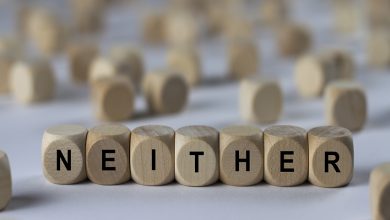 Neither - Nor – Örnek Cümlelerle İngilizce Öğreniyorum