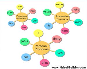 Possessive Adjectives – İyelik Sıfatları – Örnek Cümlelerle İngilizce Öğreniyorum