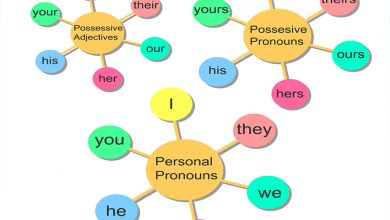 Possessive Adjectives – İyelik Sıfatları – Örnek Cümlelerle İngilizce Öğreniyorum