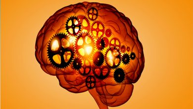 Beyin ve Yaratıcı Düşünme - Beyinde Neler Oluyor?