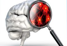 Beyni Beyinden Öğrenmek – Meraklısına, Beyin Hakkında Yeni Bilgiler