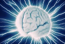 Beynin Sırları – Beynin Keşfedilen Son Becerileri ve İkazları