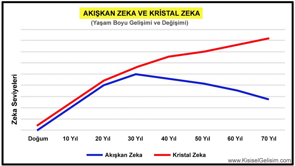 Kristalize Zeka ve Akışkan Zeka Nedir?