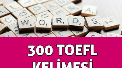 Mega TOEFL - TOEFL Words - 100 Temel TOEFL Kelimesi