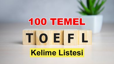 TOEFL Vocabulary List - En Önemli TOEFL Kelimeleri Listesi