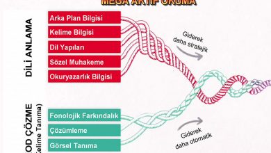 Anlayarak Akıcı Okuma - Scarborough Okuma Halatı