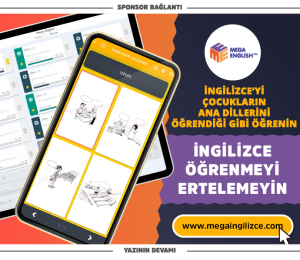 okuduğunu anlama - mega ingilizce