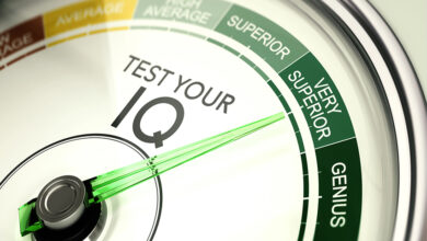 IQ