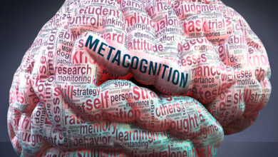 metakognisyon