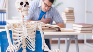 ömür-boyu-öğrenme