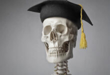 hayat boyu öğrenme